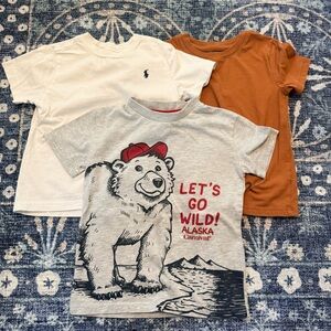 Lot of 3 Toddler Boys Shirts